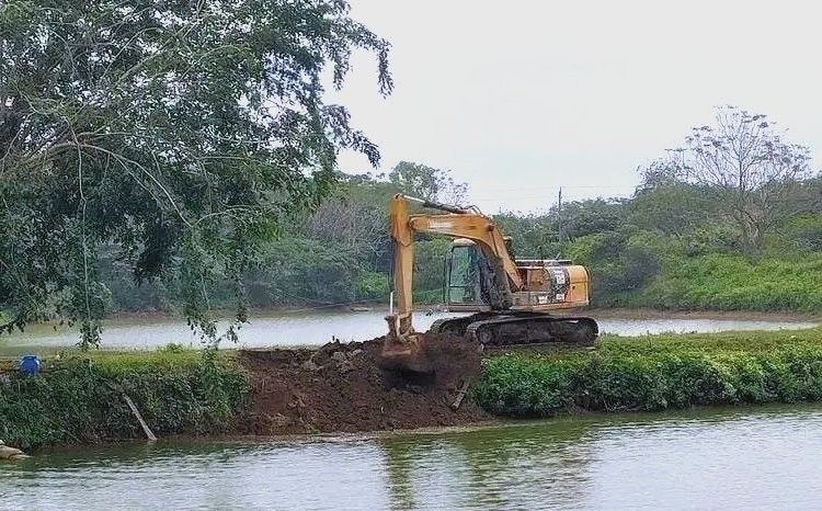 龍躉魚養(yǎng)殖需要多大的池塘？