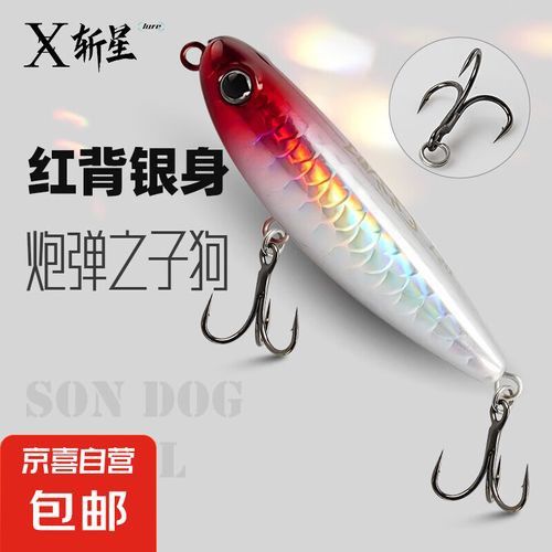 金龍魚翹頭和炮彈頭的市場價格