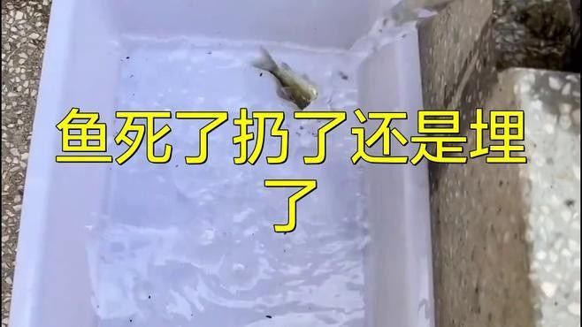 龍魚死亡后如何科學(xué)處理尸體？