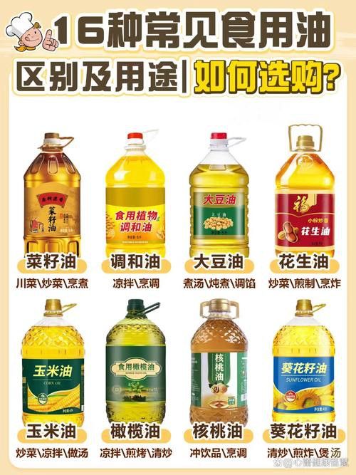 多力與金龍魚哪個更受歡迎？