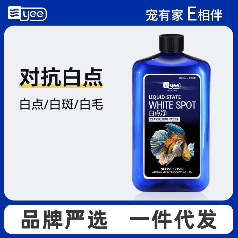 恐龍魚多少錢