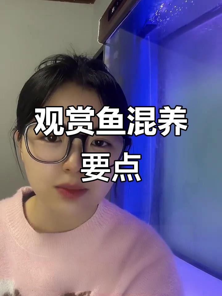 混養(yǎng)時需要注意哪些事項？ 混養(yǎng)時需要注意哪些事項？ 龍魚百科 第4張