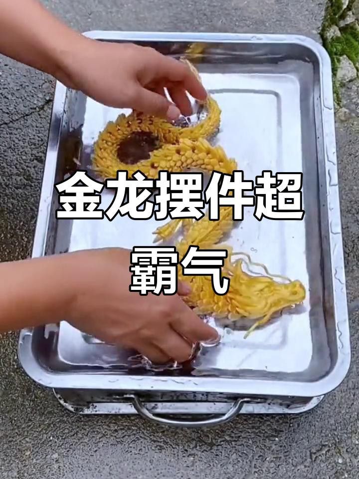 有哪些金龍擺件推薦？