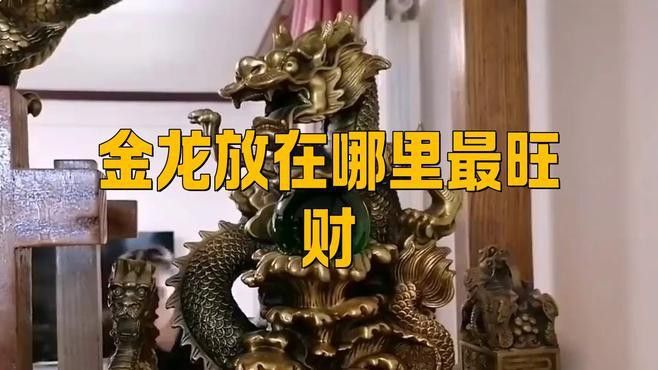 金龍魚擺件的尺寸選擇 龍魚百科 第6張 金龍魚擺件的尺寸選擇 金龍魚擺件的尺寸選擇 龍魚百科 第6張