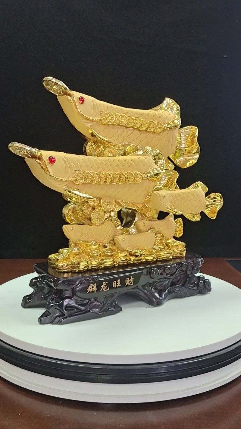 金龍魚擺件的尺寸選擇 金龍魚擺件的尺寸選擇 龍魚百科 第10張