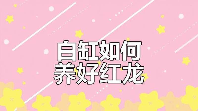 養紅龍魚視頻講座圖片 養紅龍魚視頻講座圖片 龍魚百科 第2張