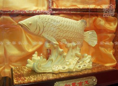 黃金恐龍魚價格多少一只（黃金恐龍魚價格查詢） 黃金恐龍魚價格多少一只（黃金恐龍魚價格查詢） 龍魚百科 第2張