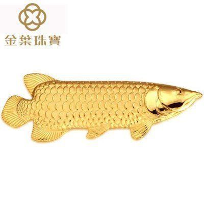 黃金恐龍魚價格多少一只（黃金恐龍魚價格查詢） 黃金恐龍魚價格多少一只（黃金恐龍魚價格查詢） 龍魚百科 第1張