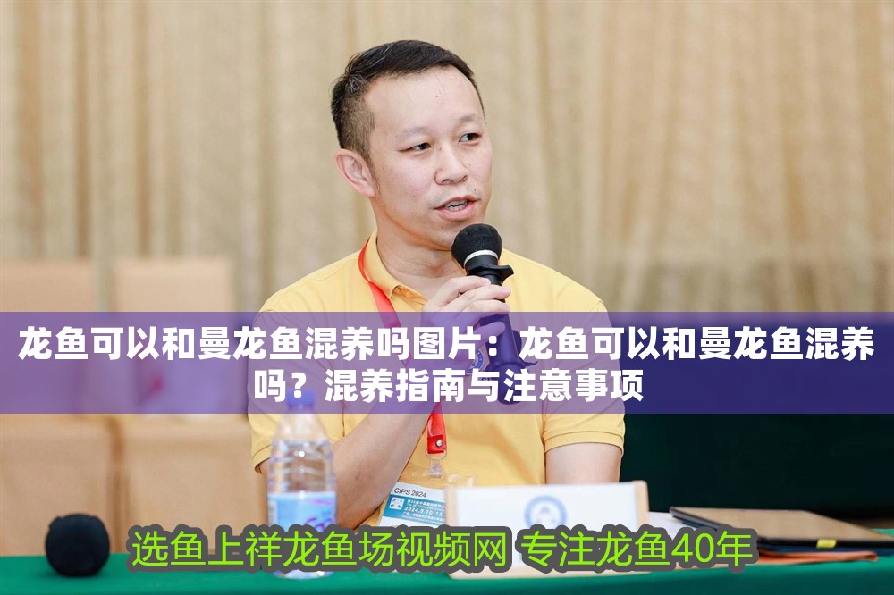 龍魚可以和曼龍魚混養(yǎng)嗎圖片：龍魚可以和曼龍魚混養(yǎng)嗎？混養(yǎng)指南與注意事項(xiàng) 龍魚可以和曼龍魚混養(yǎng)嗎圖片：龍魚可以和曼龍魚混養(yǎng)嗎？混養(yǎng)指南與注意事項(xiàng) 龍魚百科 第1張