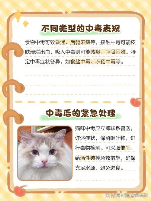 有哪些食物對龍貓和貓有害？ 有哪些食物對龍貓和貓有害？ 龍魚百科 第4張