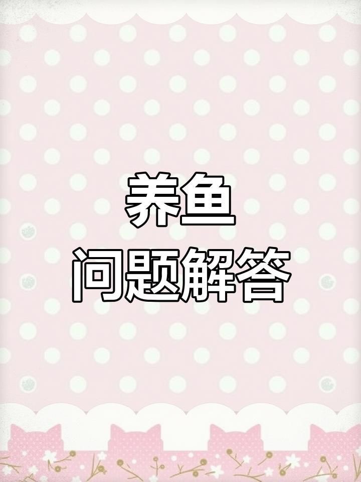 龍魚拒食有哪些常見原因? 龍魚百科 第7張 龍魚拒食有哪些常見原因? 龍魚拒食有哪些常見原因? 龍魚百科 第7張