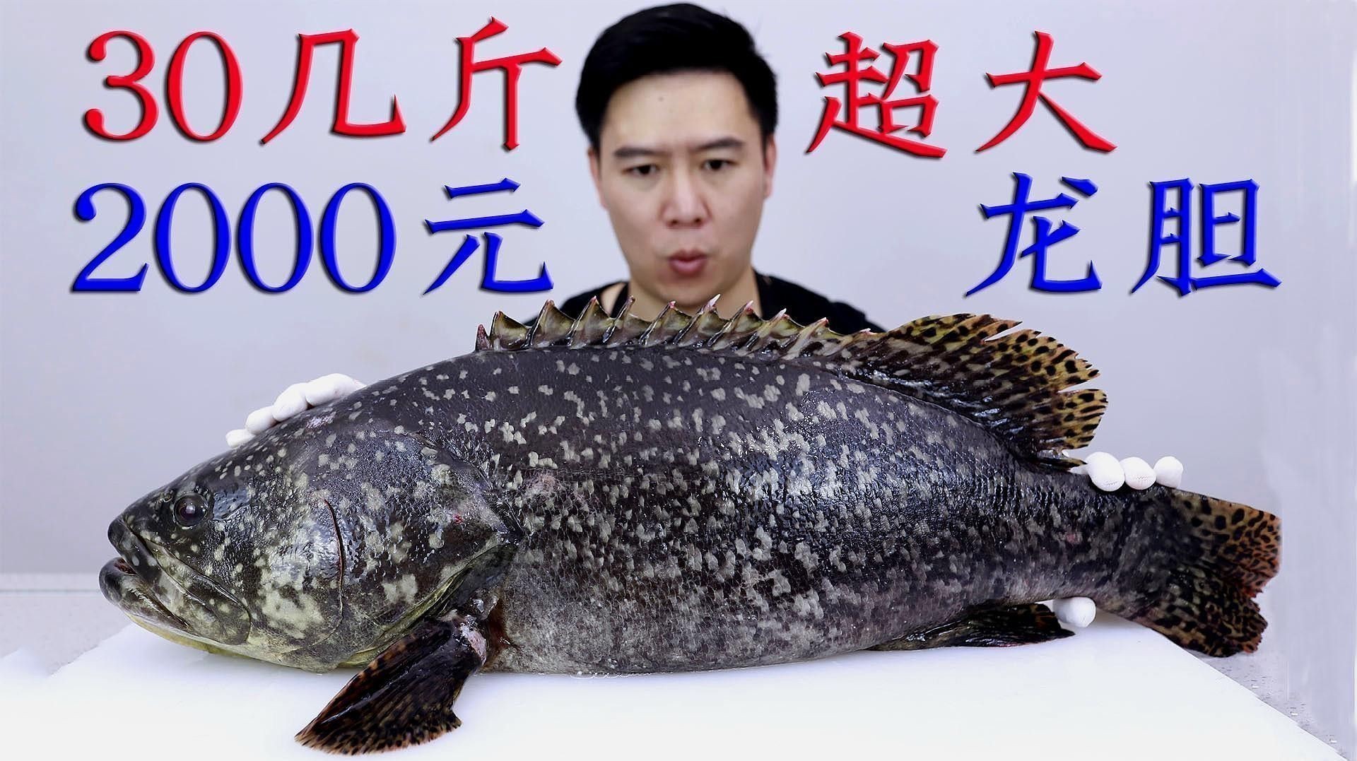 珍珠龍魚(yú)的價(jià)格是多少？