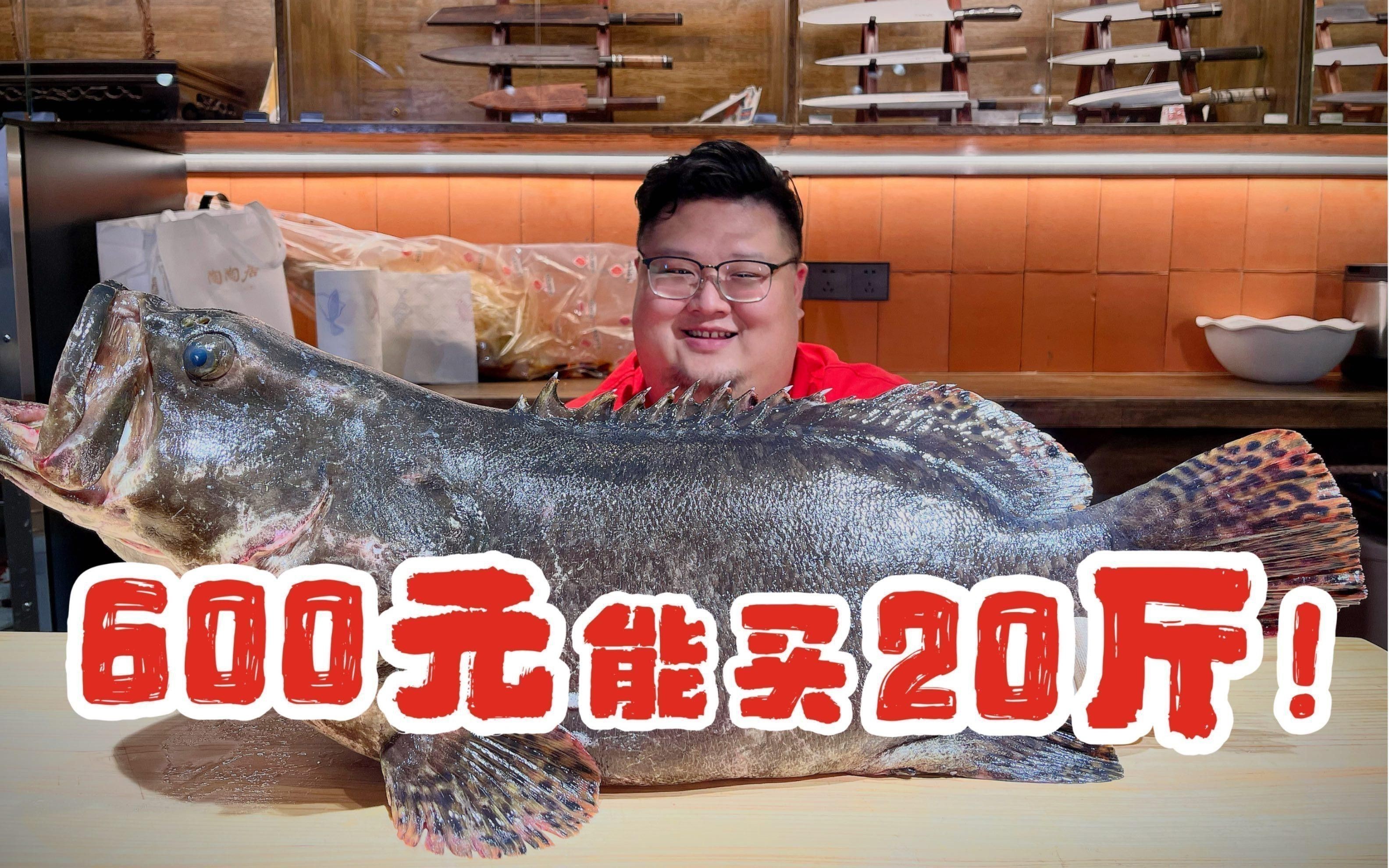珍珠龍魚(yú)的價(jià)格是多少？