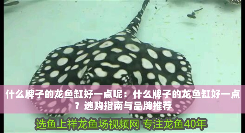 什么牌子的龍魚缸好一點(diǎn)呢：什么牌子的龍魚缸好一點(diǎn)？選購指南與品牌推薦