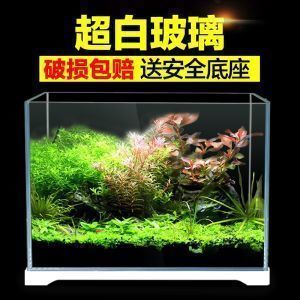 彩蝶魚缸官網(wǎng)專賣店地址電話（彩蝶魚缸官網(wǎng)最新產(chǎn)品展示彩蝶魚缸用戶評價匯總）