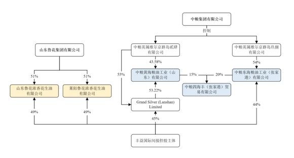 金龍魚 股權 龍魚百科 第5張 金龍魚 股權 金龍魚 股權 龍魚百科 第5張