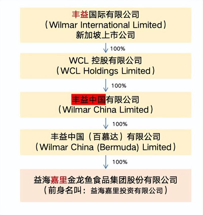 金龍魚 股權 龍魚百科 第3張 金龍魚 股權 金龍魚 股權 龍魚百科 第3張