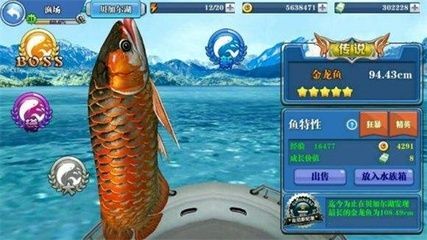 創魔金龍魚在哪釣概率高（《創造與魔法》金龍魚在哪釣幾率高） 創魔金龍魚在哪釣概率高（《創造與魔法》金龍魚在哪釣幾率高） 龍魚百科 第1張
