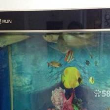 巴彥淖爾龍魚專賣店：巴彥淖爾市臨河區龍躍龍魚俱樂部]08索結果