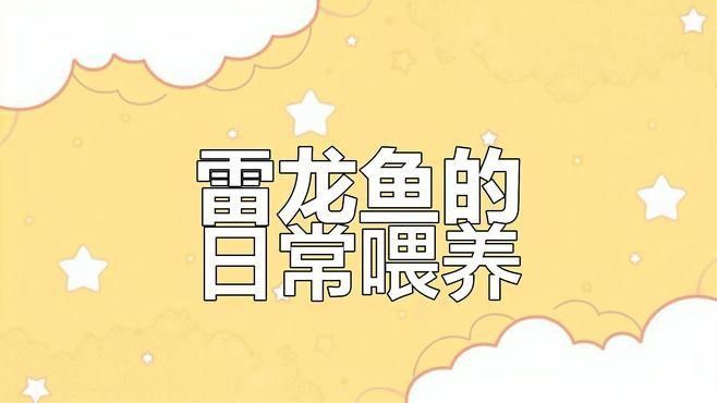 龍魚野生環境下吃什么