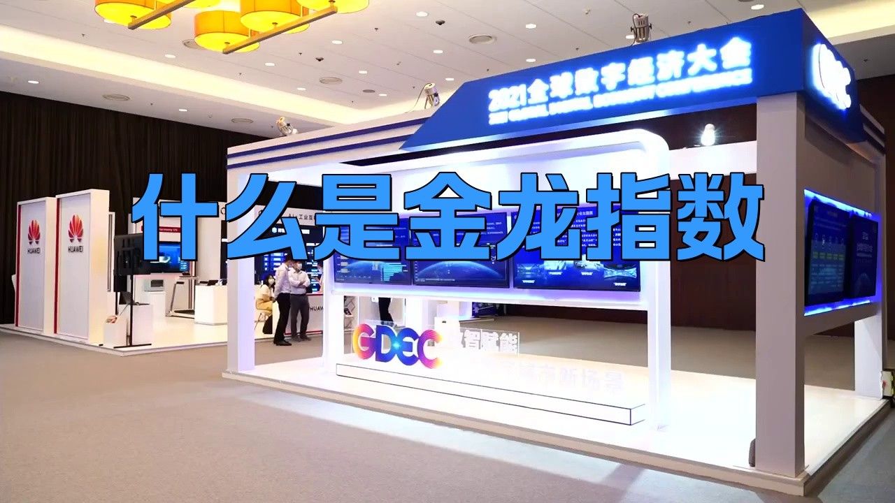 金龍指數的歷史表現如何？