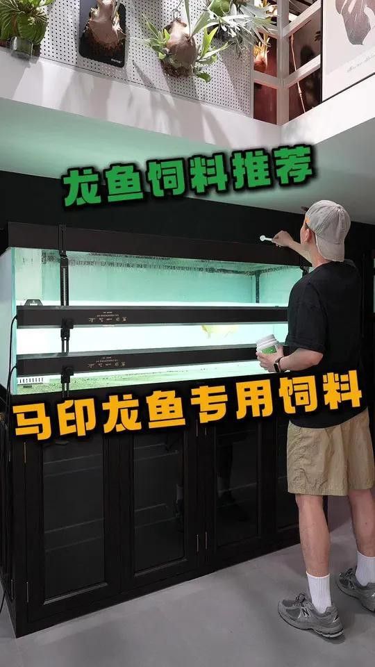 有哪些品牌紅龍魚(yú)飼料推薦？ 有哪些品牌紅龍魚(yú)飼料推薦？ 龍魚(yú)百科 第3張