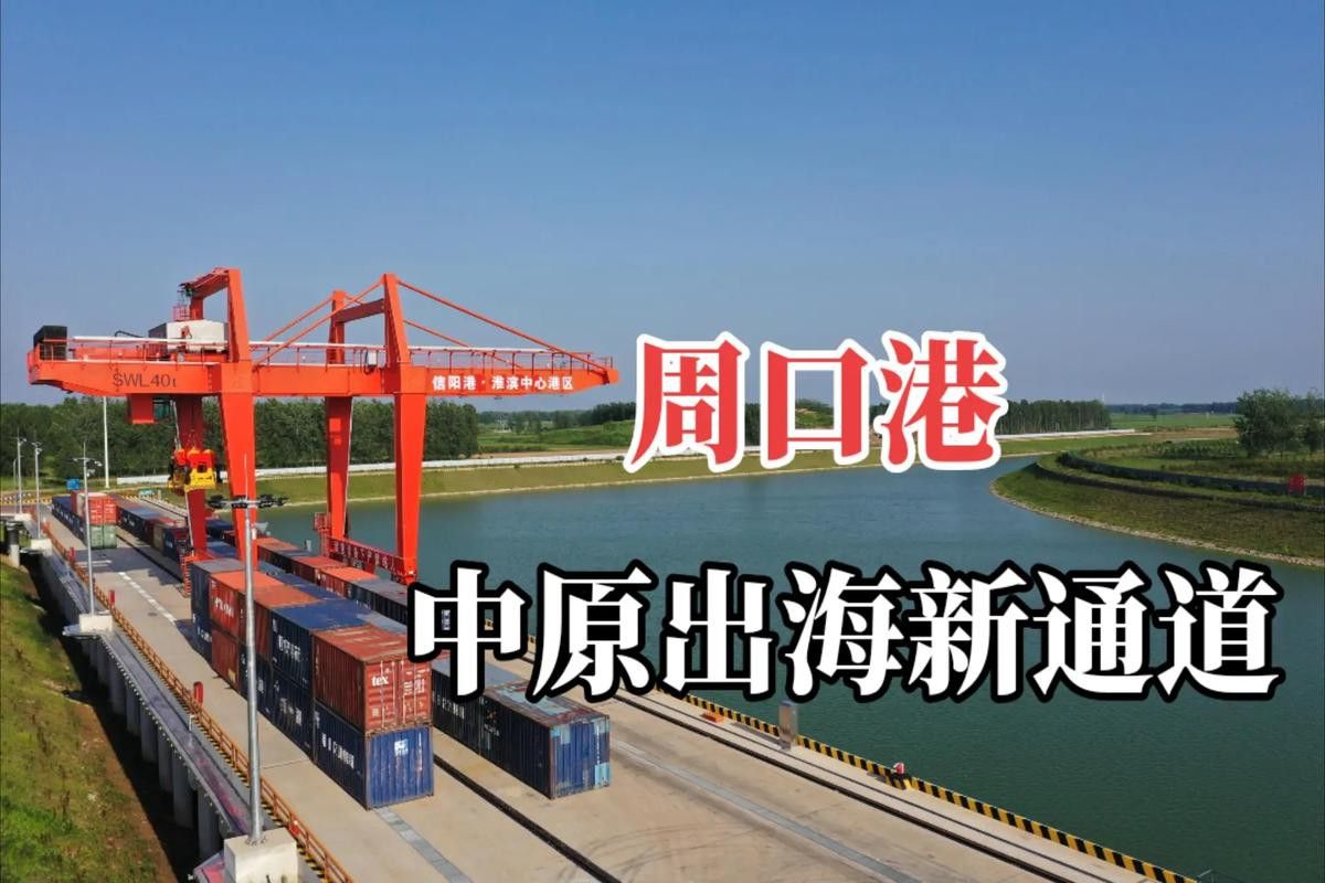 周口金龍魚項目 周口金龍魚項目 龍魚百科 第11張