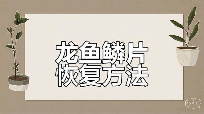 有哪些方法可以加速龍魚鱗片恢復？