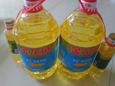 金龍魚便宜的多少錢：金龍魚價格是多少錢一條