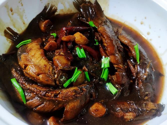 土龍魚是什么魚圖片大全大圖