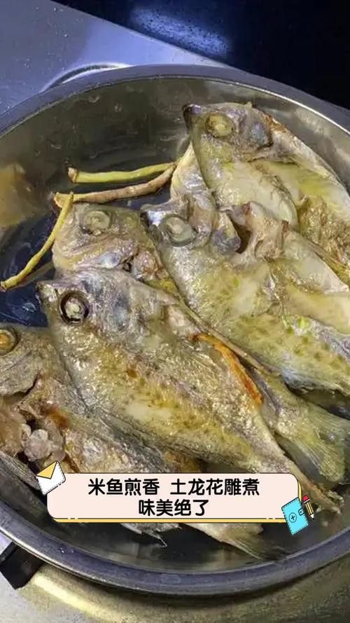 土龍魚是什么魚圖片大全大圖