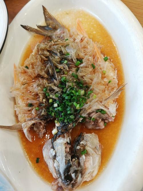土龍魚是什么魚圖片大全大圖