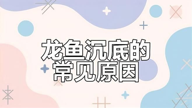 龍魚沉底多久會死？ 龍魚沉底多久會死？ 龍魚百科 第4張