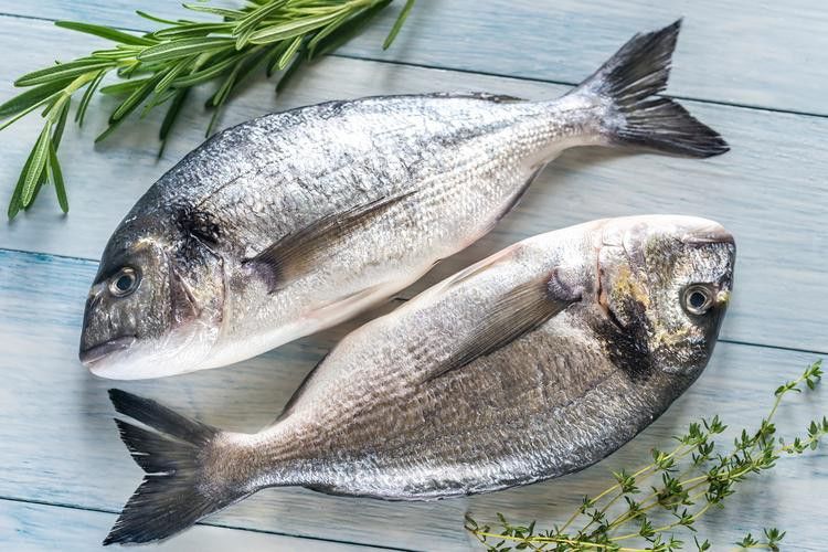 巴龍魚是什么魚圖片欣賞 龍魚百科 第9張 巴龍魚是什么魚圖片欣賞 巴龍魚是什么魚圖片欣賞 龍魚百科 第9張