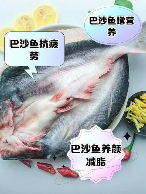 巴龍魚是什么魚圖片欣賞 龍魚百科 第8張 巴龍魚是什么魚圖片欣賞 巴龍魚是什么魚圖片欣賞 龍魚百科 第8張