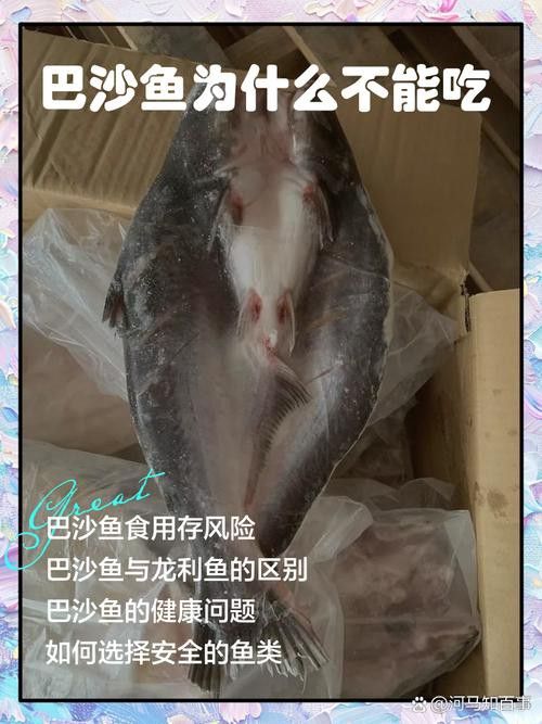 巴龍魚是什么魚圖片欣賞 龍魚百科 第5張 巴龍魚是什么魚圖片欣賞 巴龍魚是什么魚圖片欣賞 龍魚百科 第5張