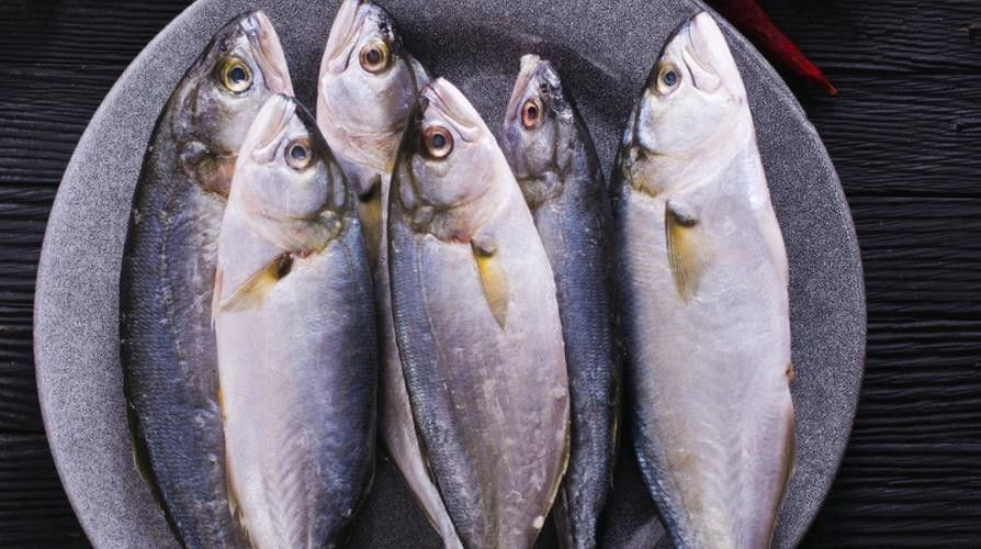 巴龍魚是什么魚圖片欣賞 龍魚百科 第14張 巴龍魚是什么魚圖片欣賞 巴龍魚是什么魚圖片欣賞 龍魚百科 第14張