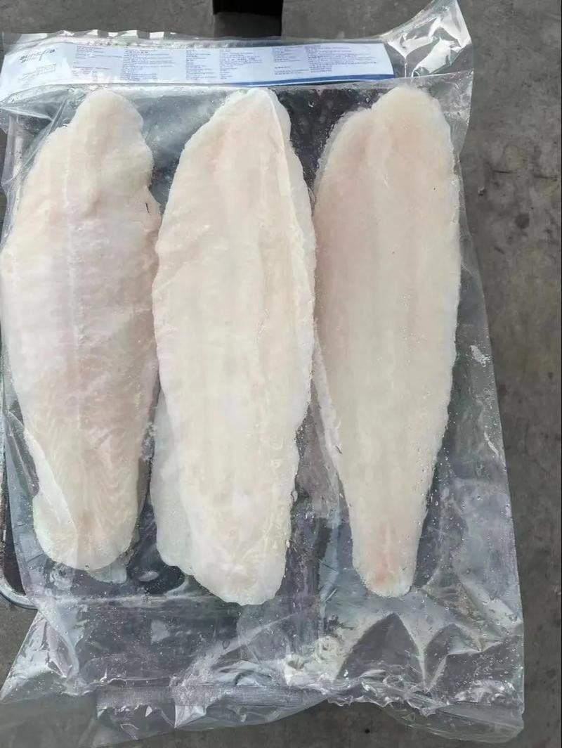 巴龍魚是什么魚圖片欣賞 龍魚百科 第18張 巴龍魚是什么魚圖片欣賞 巴龍魚是什么魚圖片欣賞 龍魚百科 第18張