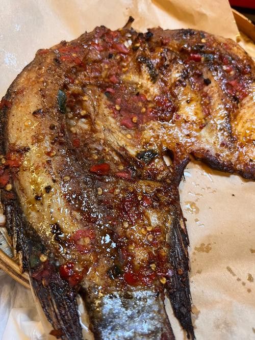 巴龍魚是什么魚圖片欣賞 龍魚百科 第22張 巴龍魚是什么魚圖片欣賞 巴龍魚是什么魚圖片欣賞 龍魚百科 第22張