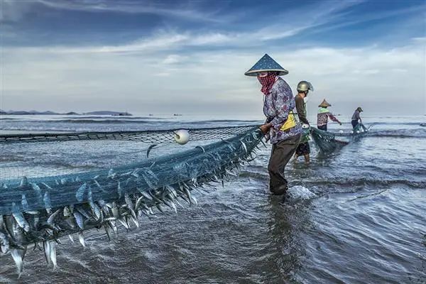 巴龍魚是什么魚圖片欣賞 巴龍魚是什么魚圖片欣賞 龍魚百科 第34張