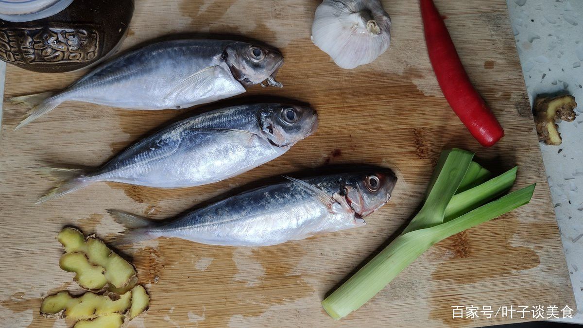 巴龍魚是什么魚圖片欣賞 巴龍魚是什么魚圖片欣賞 龍魚百科 第36張
