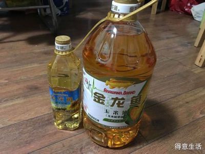 金龍魚多錢？（金龍魚價格受多種因素影響）