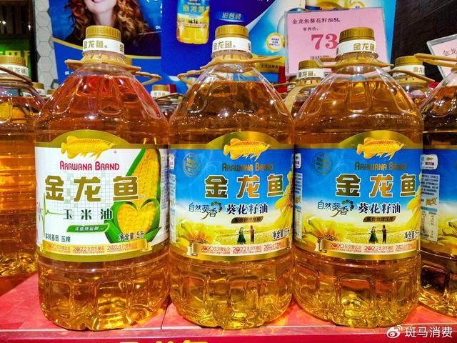 龍魚斜游越來越厲害怎么辦（龍魚斜游越來越厲害怎么辦龍魚斜游越來越厲害怎么辦）