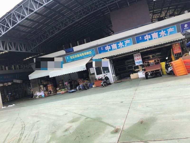 湛江龍魚批發(fā)市場地址在哪里 湛江龍魚批發(fā)市場地址在哪里 龍魚百科 第1張