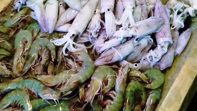 湛江龍魚批發(fā)市場地址在哪里 湛江龍魚批發(fā)市場地址在哪里 龍魚百科 第5張