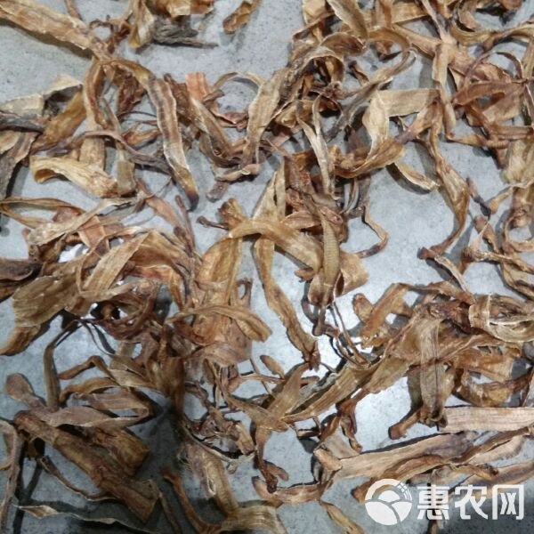 土龍魚多少錢斤 土龍魚多少錢斤 龍魚百科 第9張