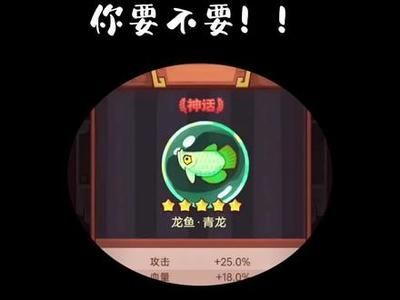 龍魚青龍屬性（《咸魚之王》龍魚青龍與其他魚靈對(duì)比咸魚之王釣魚技巧分享） 龍魚青龍屬性（《咸魚之王》龍魚青龍與其他魚靈對(duì)比咸魚之王釣魚技巧分享） 龍魚百科 第1張