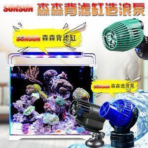 龍魚缸需要造浪嗎為什么（造浪泵對龍魚健康的影響）