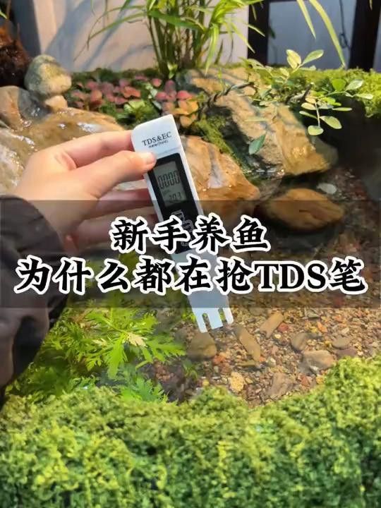 如何檢測水質參數，確保安全換水？ 如何檢測水質參數，確保安全換水？ 龍魚百科 第2張