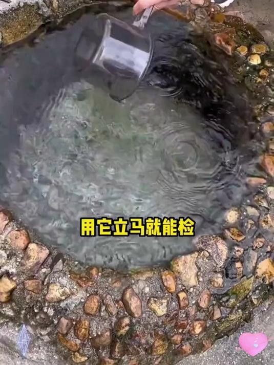 如何檢測水質參數，確保安全換水？ 如何檢測水質參數，確保安全換水？ 龍魚百科 第6張